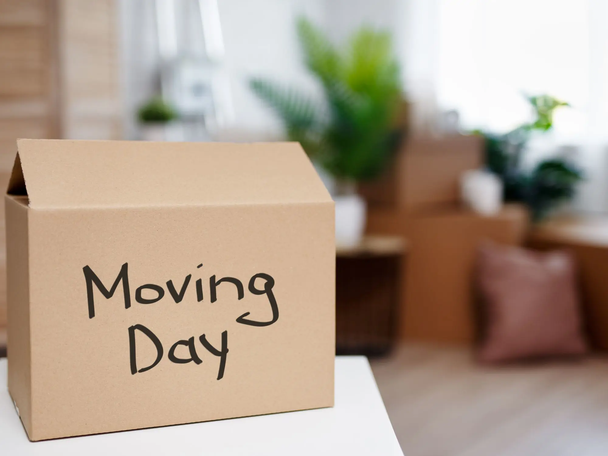 A cardboard box labeled 'Moving Day' in black marker, surrounded by other boxes and plants in a blurred indoor setting, suggesting a moving or packing scenario.