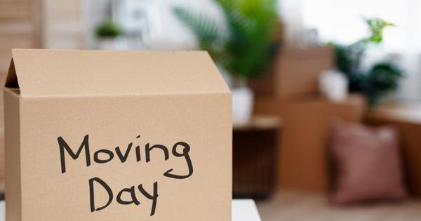 A cardboard box labeled 'Moving Day' in black marker, surrounded by other boxes and plants in a blurred indoor setting, suggesting a moving or packing scenario.