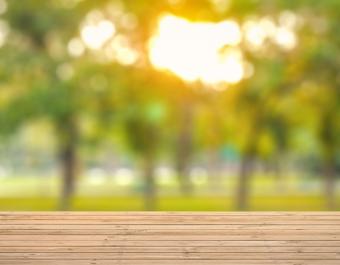 Wooden deck in the foreground with sunlight filtering through trees in a lush green outdoor setting.