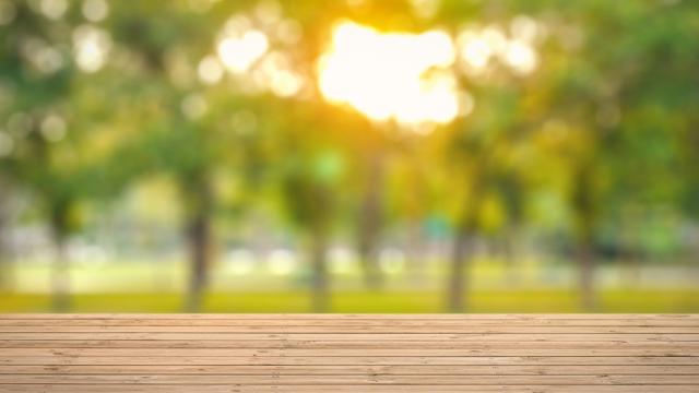 Wooden deck in the foreground with sunlight filtering through trees in a lush green outdoor setting.