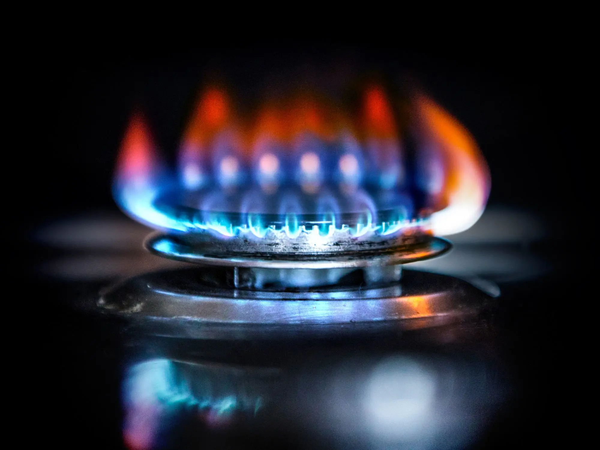 Blue flames burning on a gas stove burner.