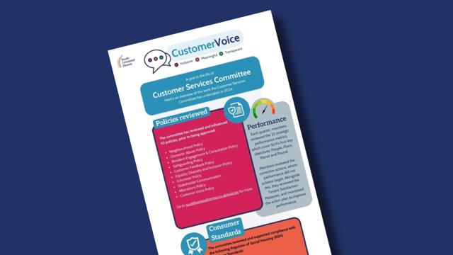 Document titled 'CustomerVoice' with the tagline 'Inclusive, Meaningful, Transparent', summarising the Customer Services Committee’s 2024 activities including policy reviews, performance monitoring, and compliance with consumer standards.