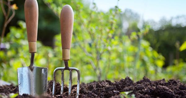 A trowel and hand fork with wooden handles are inserted into garden soil, surrounded by green plants—representing gardening tools in use outdoors.