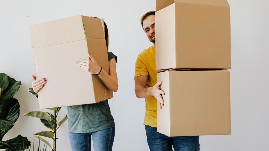 Two people carrying large cardboard boxes into a bright room with a green houseplant in the background. Two people carrying large cardboard boxes into a bright room with a green houseplant in the background.