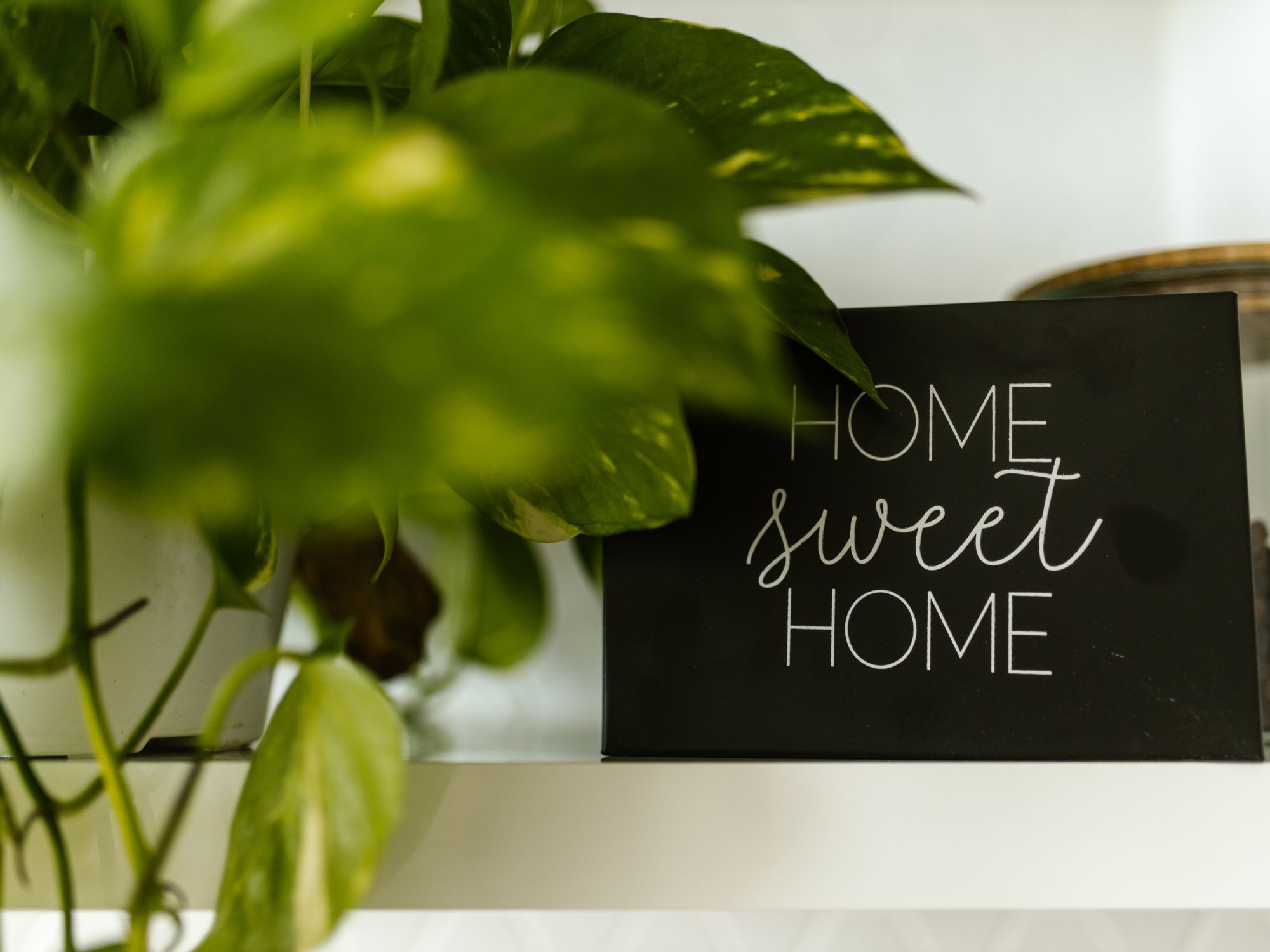 A black sign with white text reading 'HOME SWEET HOME' placed on a white shelf, partially obscured by green plant leaves on the left side.