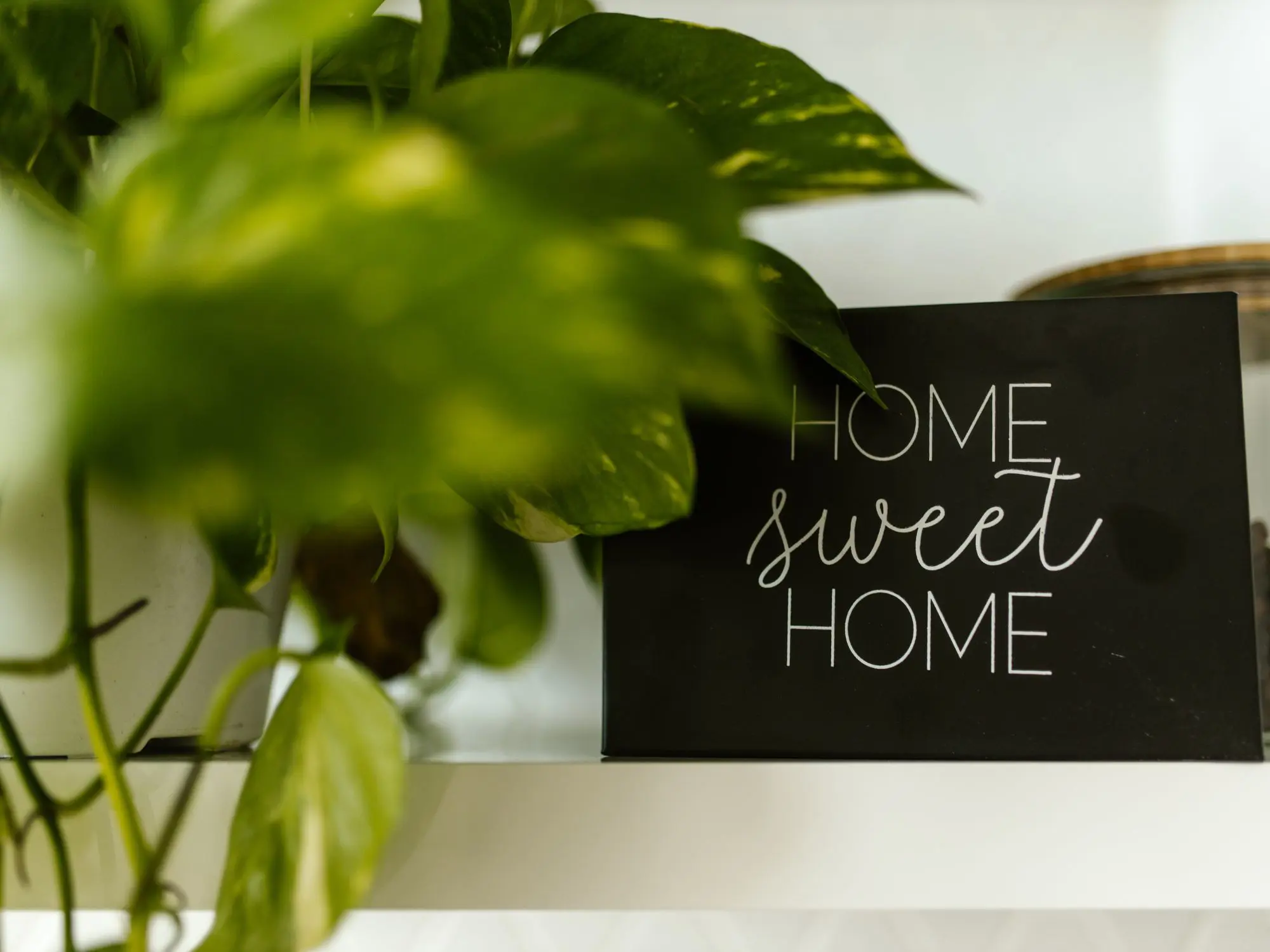 A black sign with white text reading 'HOME SWEET HOME' placed on a white shelf, partially obscured by green plant leaves on the left side.