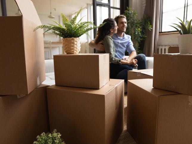 Stacked cardboard boxes and potted plants in the foreground, with two people sitting together on a sofa in a bright living room. Stacked cardboard boxes and potted plants in the foreground, with two people sitting together on a sofa in a bright living room.