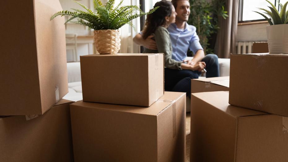 Stacked cardboard boxes and potted plants in the foreground, with two people sitting together on a sofa in a bright living room. Stacked cardboard boxes and potted plants in the foreground, with two people sitting together on a sofa in a bright living room.