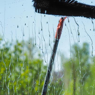 Window being cleaned with a brush, water streaming down the glass with greenery visible outside.