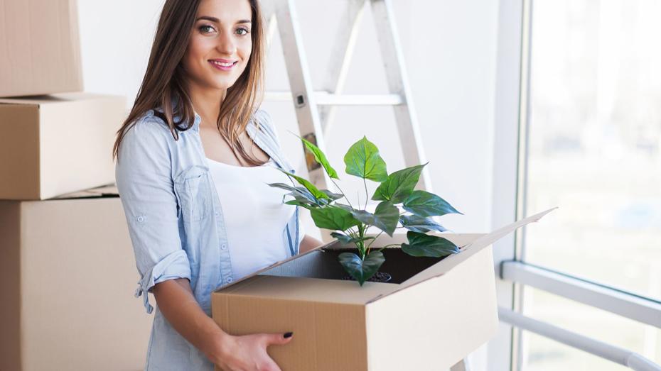 Person holding a cardboard box with a green potted plant inside, standing near a stack of boxes and a ladder by a large window. Person holding a cardboard box with a green potted plant inside, standing near a stack of boxes and a ladder by a large window.