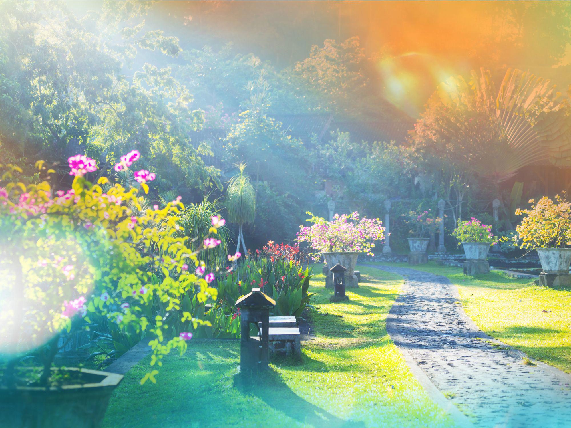Stone garden path lined with vibrant summer flowers and lush greenery, bathed in soft sunlight with benches inviting relaxation, capturing the warmth and tranquillity of July. Stone garden path lined with vibrant summer flowers and lush greenery, bathed in soft sunlight with benches inviting relaxation, capturing the warmth and tranquillity of July.