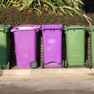 Five wheeled garbage bins—three green and two purple—lined up against a wall beside vegetation.