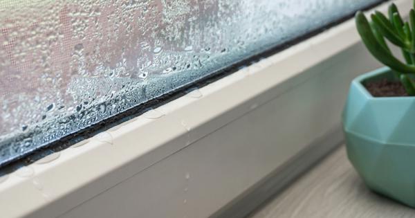 Close-up of a window with condensation and water droplets on the glass, a white frame, and a small green succulent in a geometric blue pot on the windowsill, illustrating indoor humidity and moisture concerns