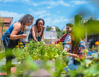 Four people tending to plants in a raised garden bed on a rooftop, with urban buildings in the background, highlighting a community gardening activity.