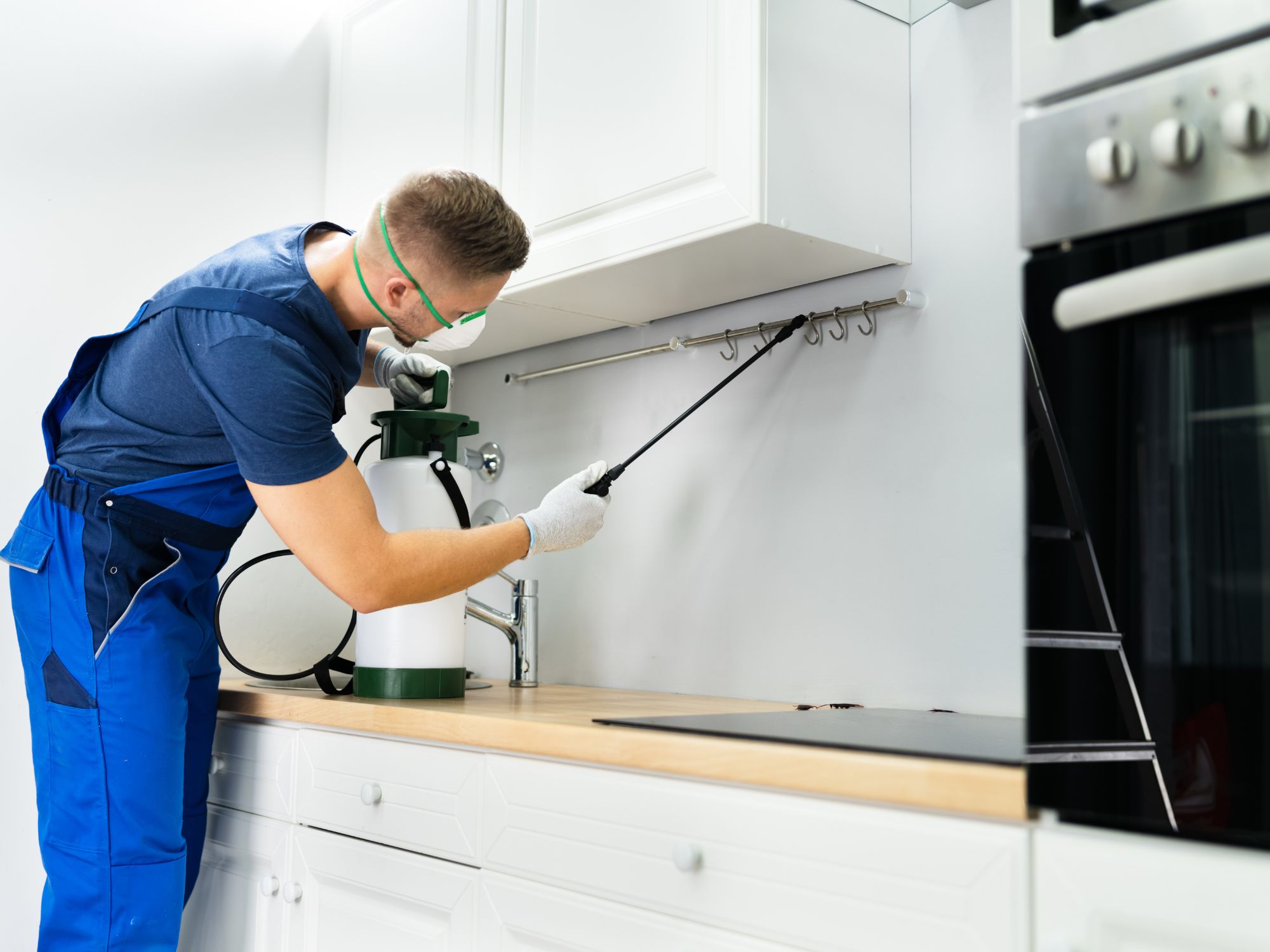 Person in protective gear spraying pesticide under kitchen cabinets.