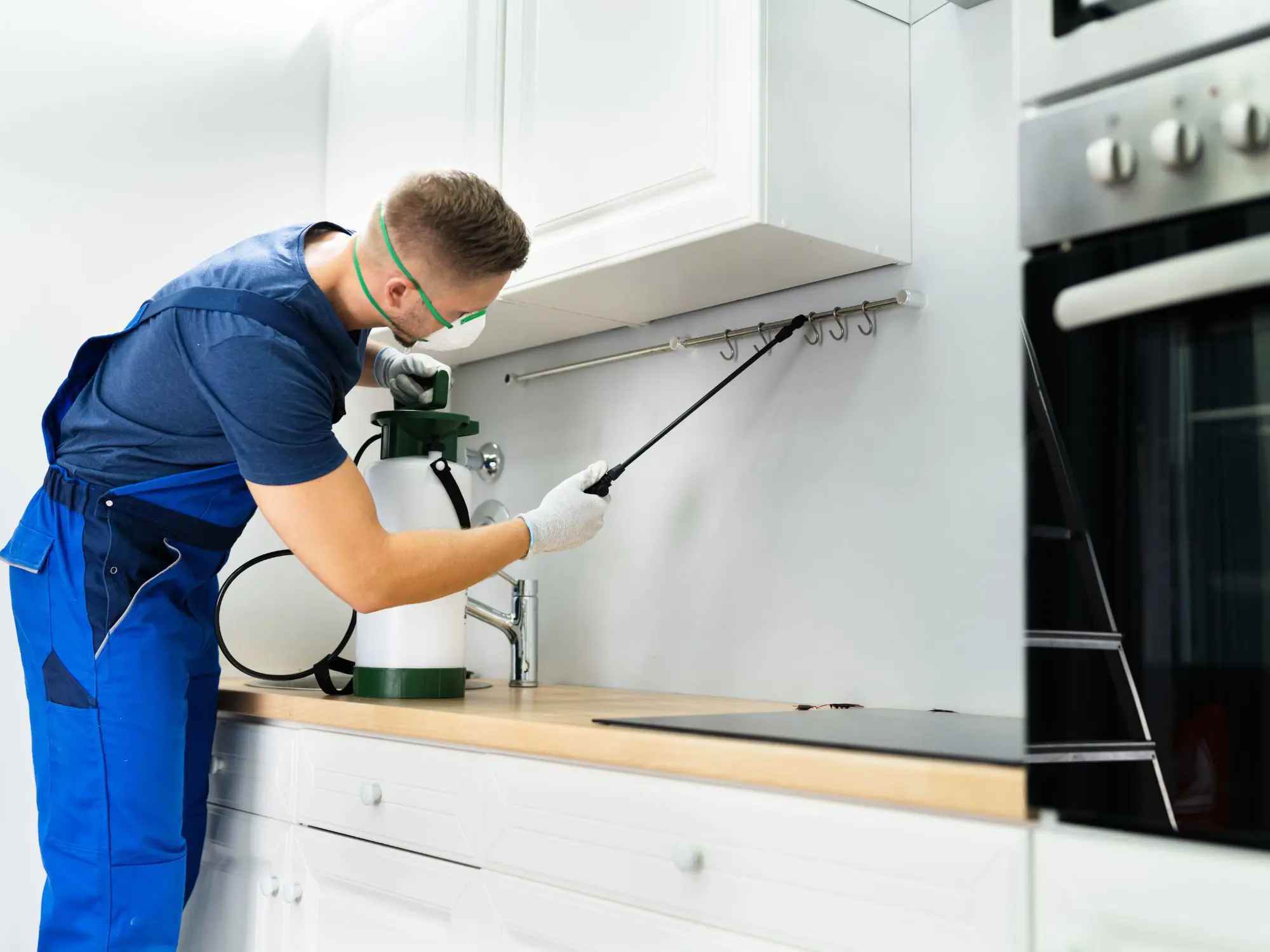 Person in protective gear spraying pesticide under kitchen cabinets.